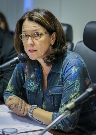 Secretária-Executiva da Camex, Anamélia Soccal Seyffath