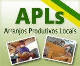 Observatório Brasileiro de APLs tem rede social exclusiva para troca de informações